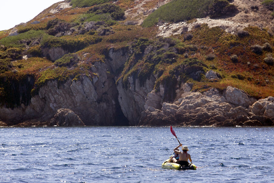 Kayak