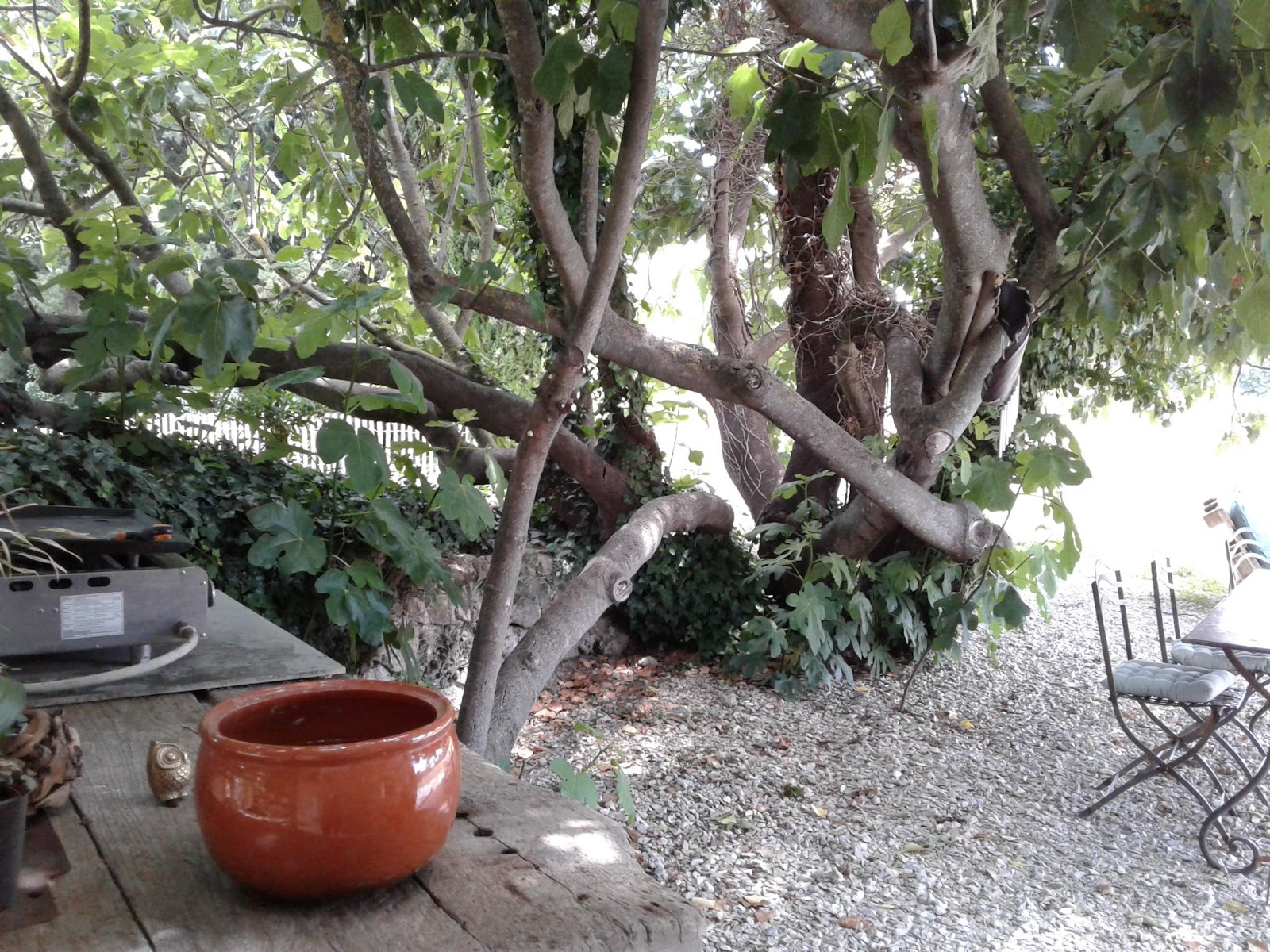 Mas Provençal - photo 5