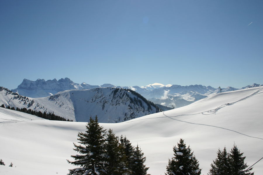 Snowshoe trail : Col du Saix