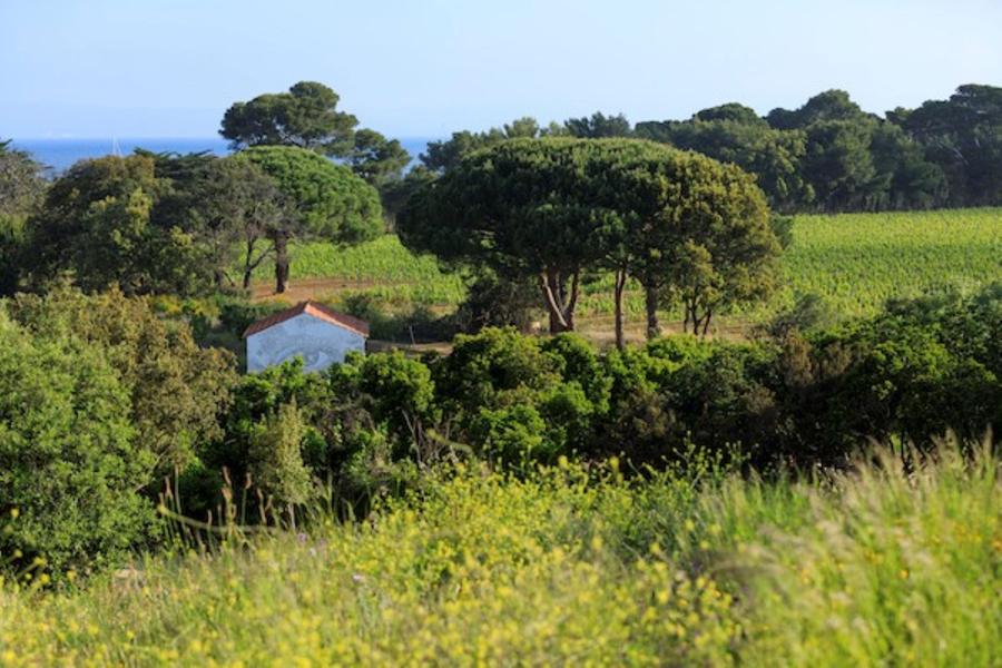 Atelier créatif en famille Villa Carmignac