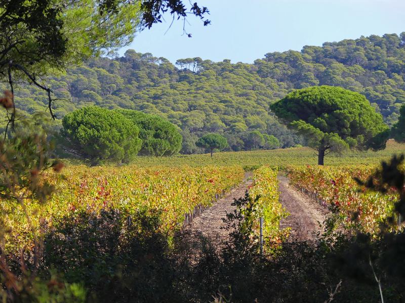 Point rencontre : Les multiples connexions du vivant (Porquerolles)_Hyères