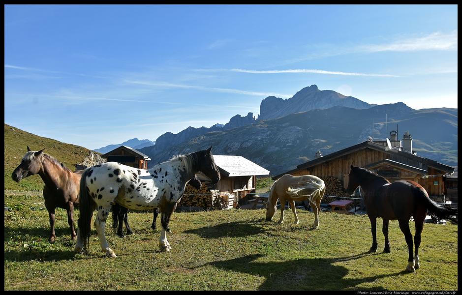 Grand Plan b2021-09-08_14 copie.jpg