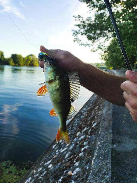 Pêche à la truite spéciale enfants