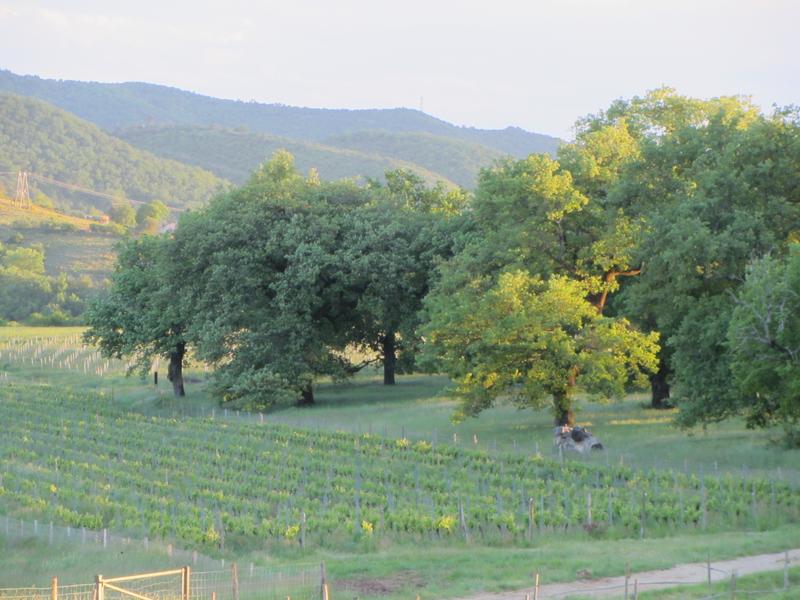 Domaine Olivier de Serres