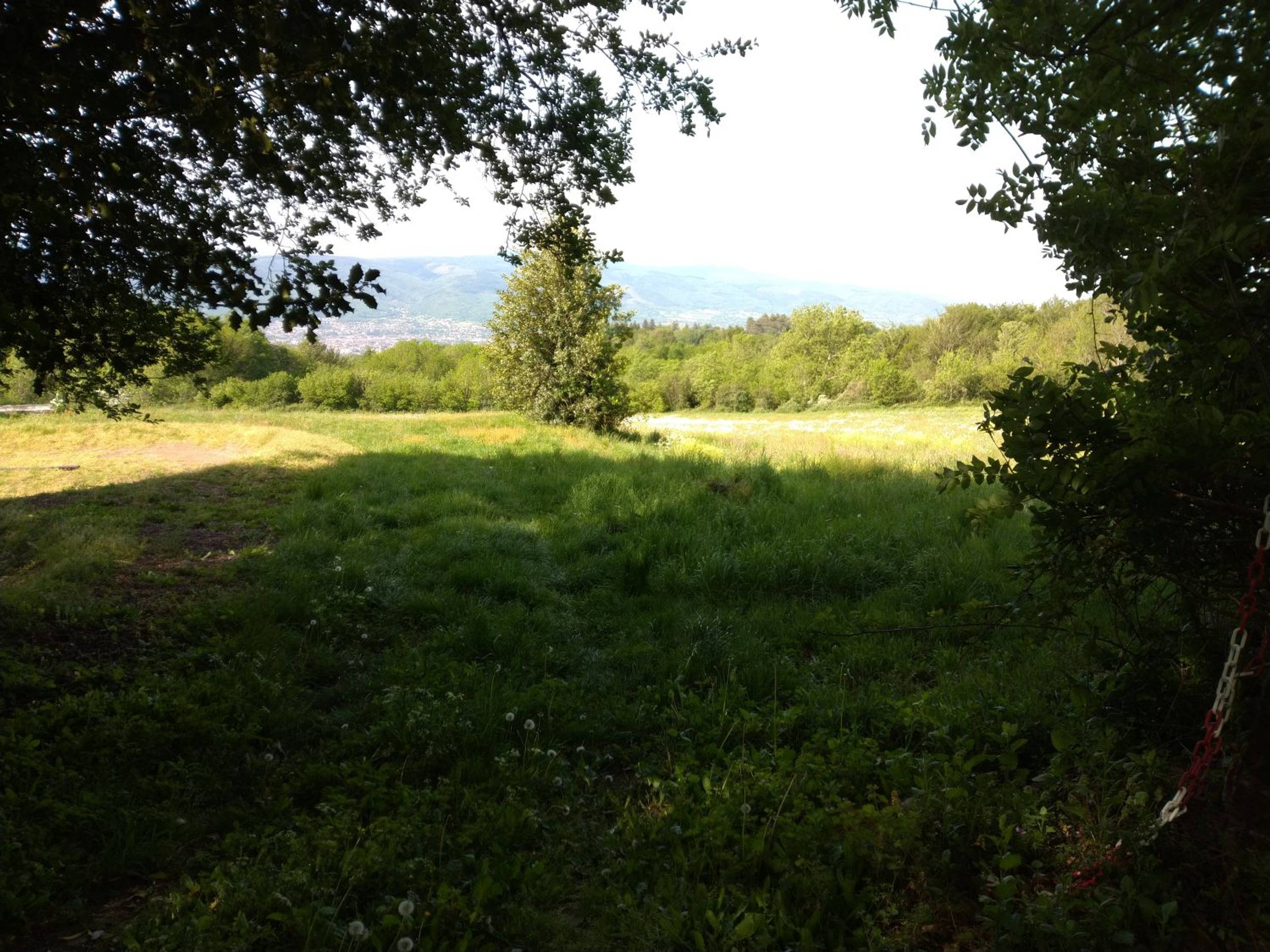 sentier-en-foret-ehlrivlfhbzl