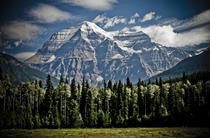 Forêt boréale canadienne