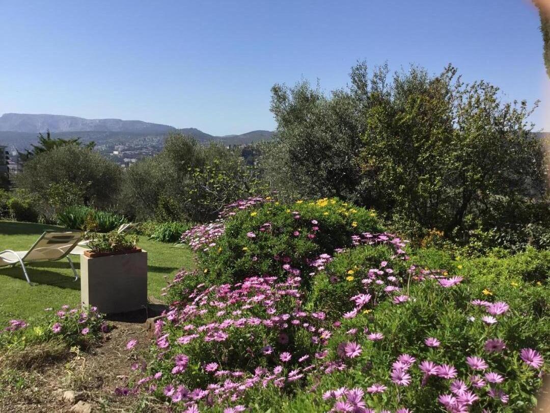 La Brunette - photo 4