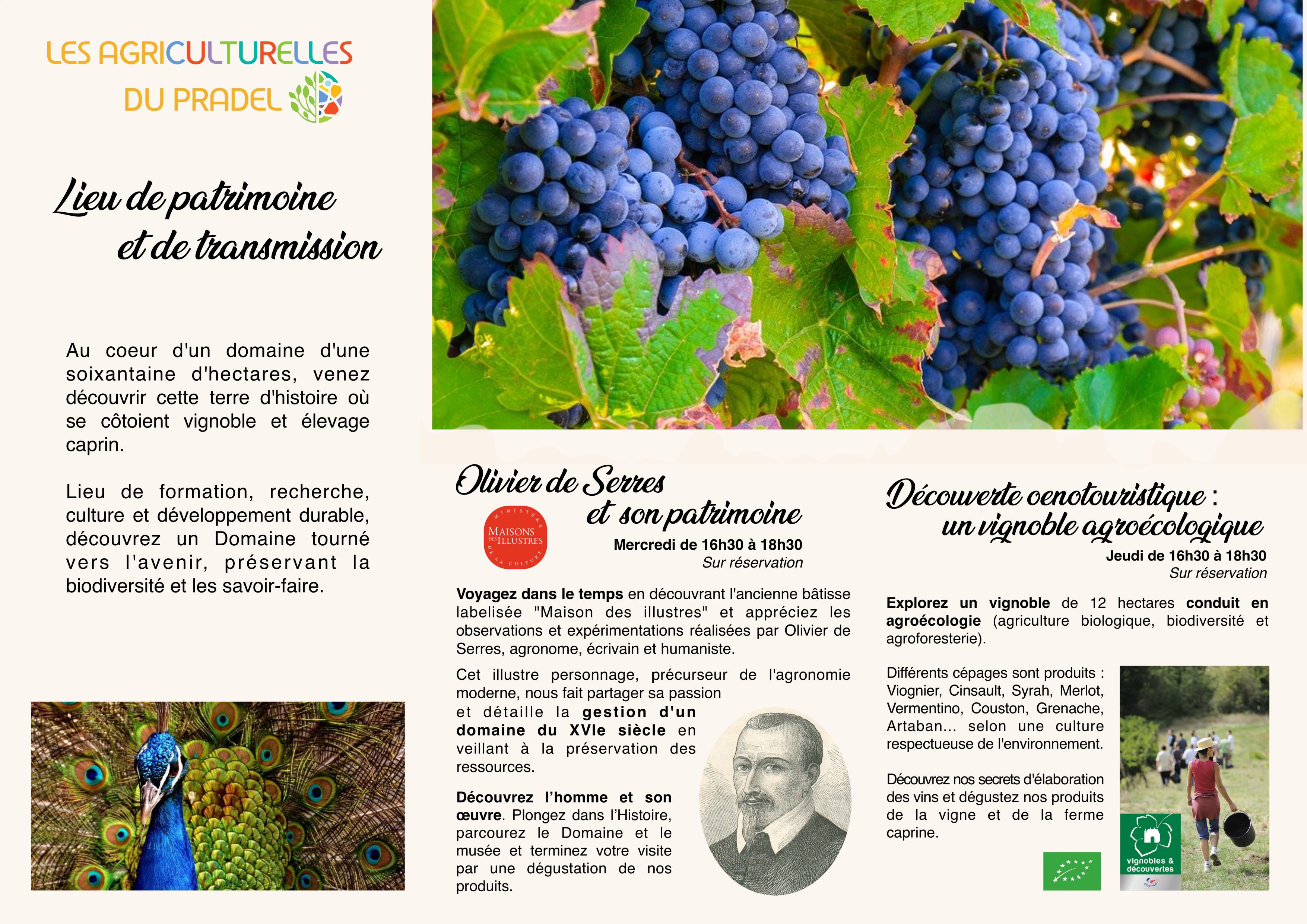 2025-07-09_ Visites-OdS2_Pradel