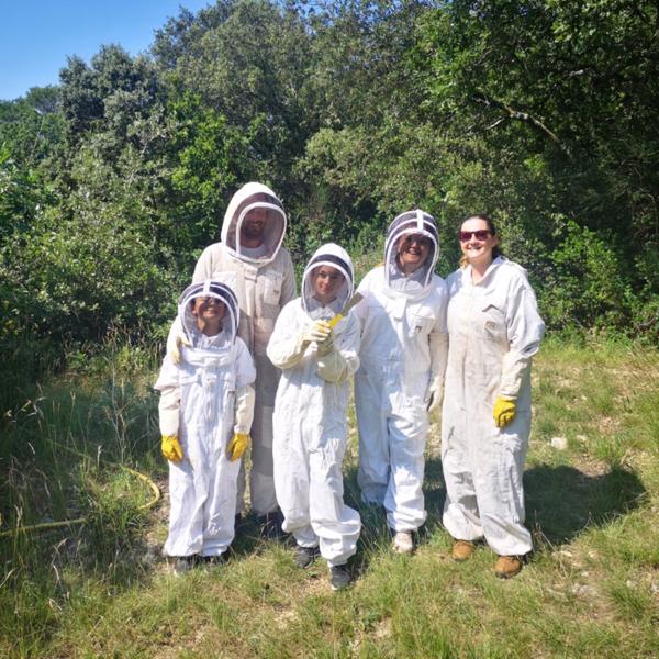 Apinae Apiculture_Bollène