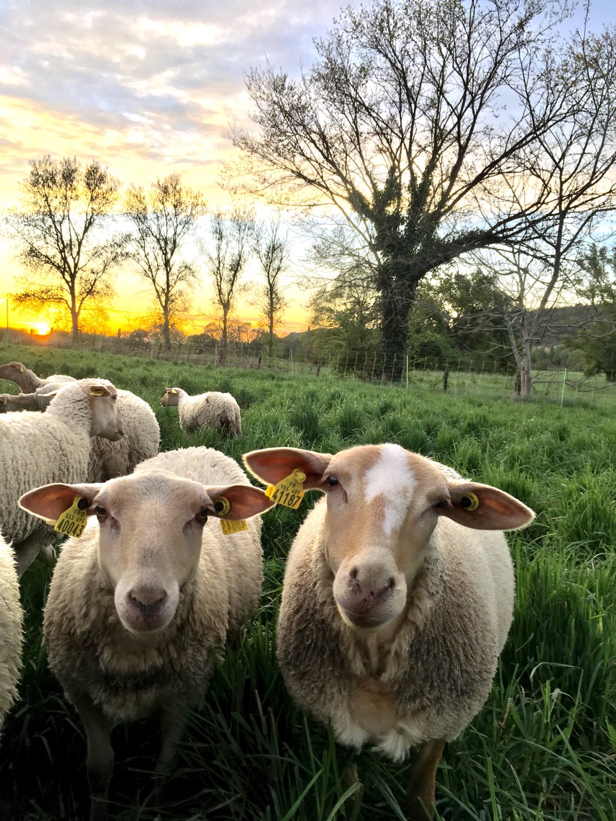 491843704_688675850770977_6924404553642129631_n