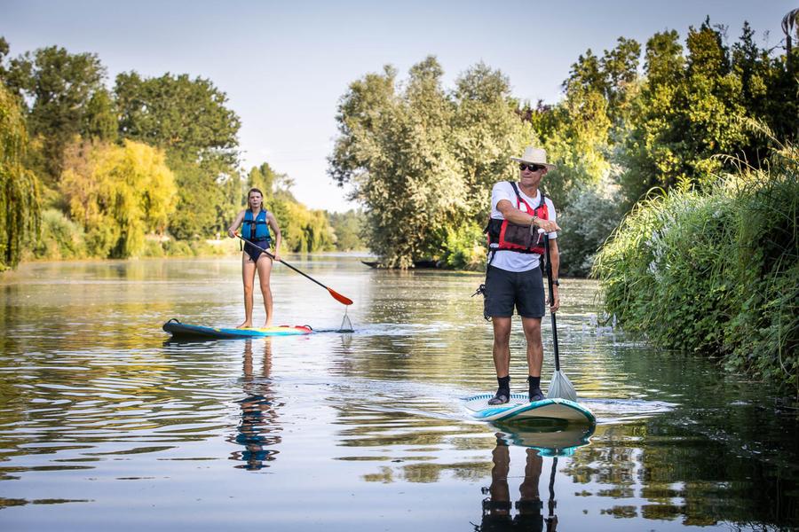 paddle