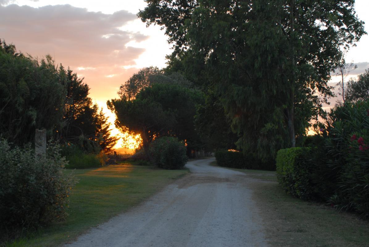 Le Jardin, Arles - photo 5