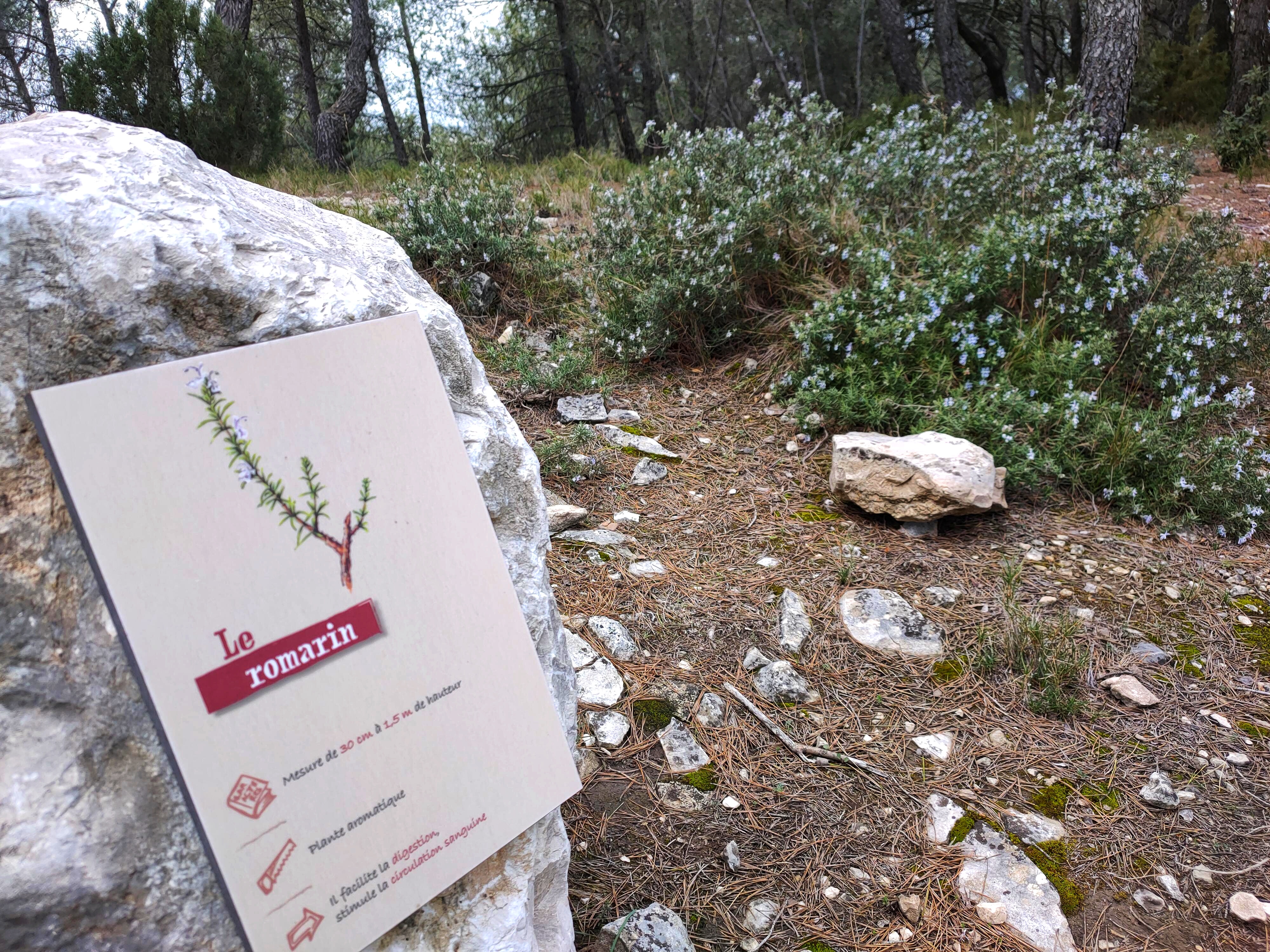 Le Sentier Botanique - photo 3