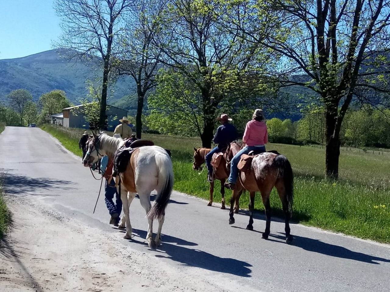 balade equestre