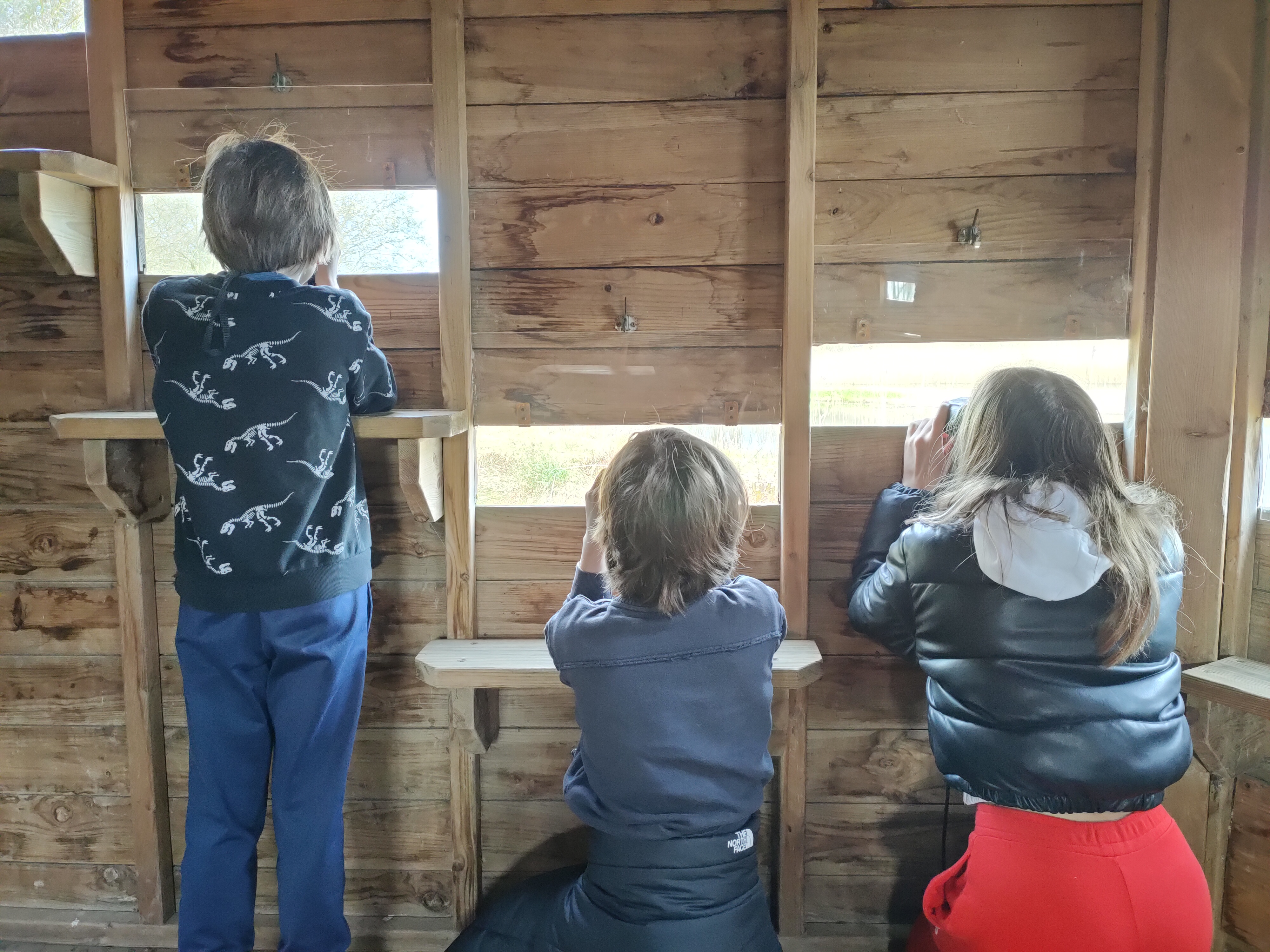 Visite guidée de la Gravière aux oiseaux