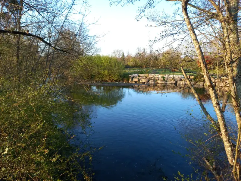 Balade - Moulins de Polliat_Polliat