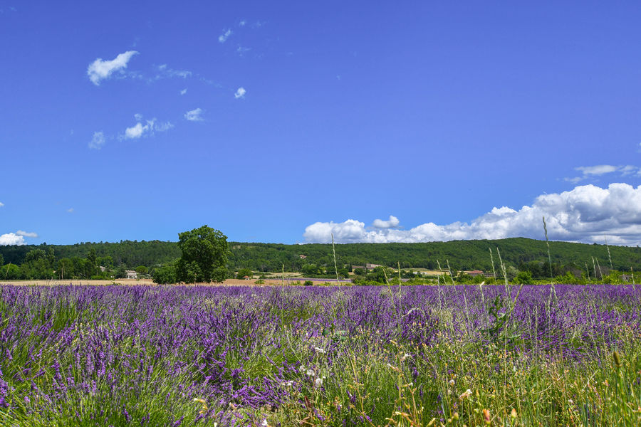 Paysage randonnée