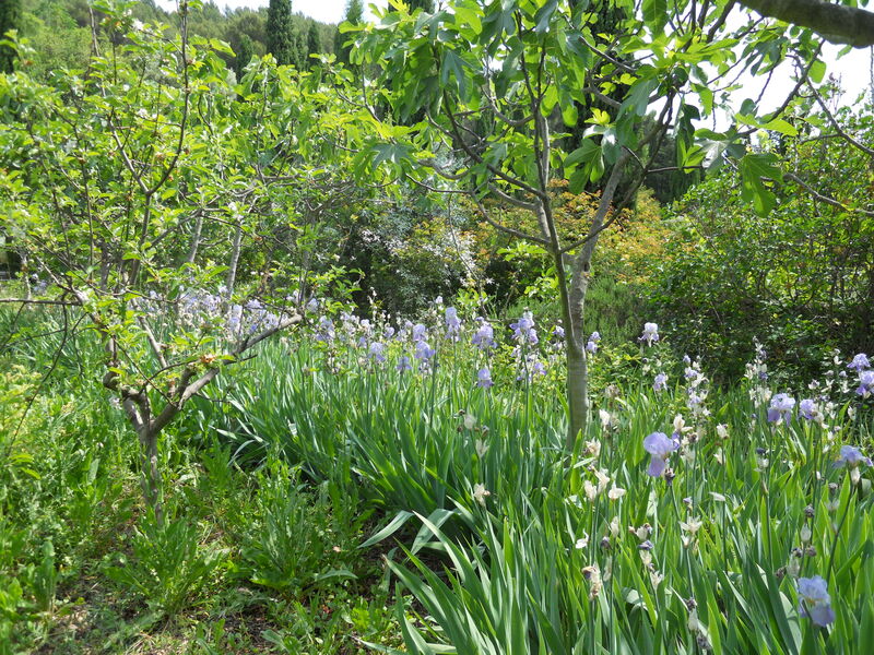 Domaine d'Orvès