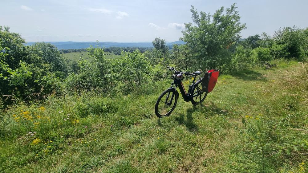 VTTAE n°10 Coligny Plateau de Vergongeat