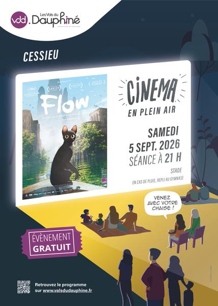 Cinéma en plein air - Flow
