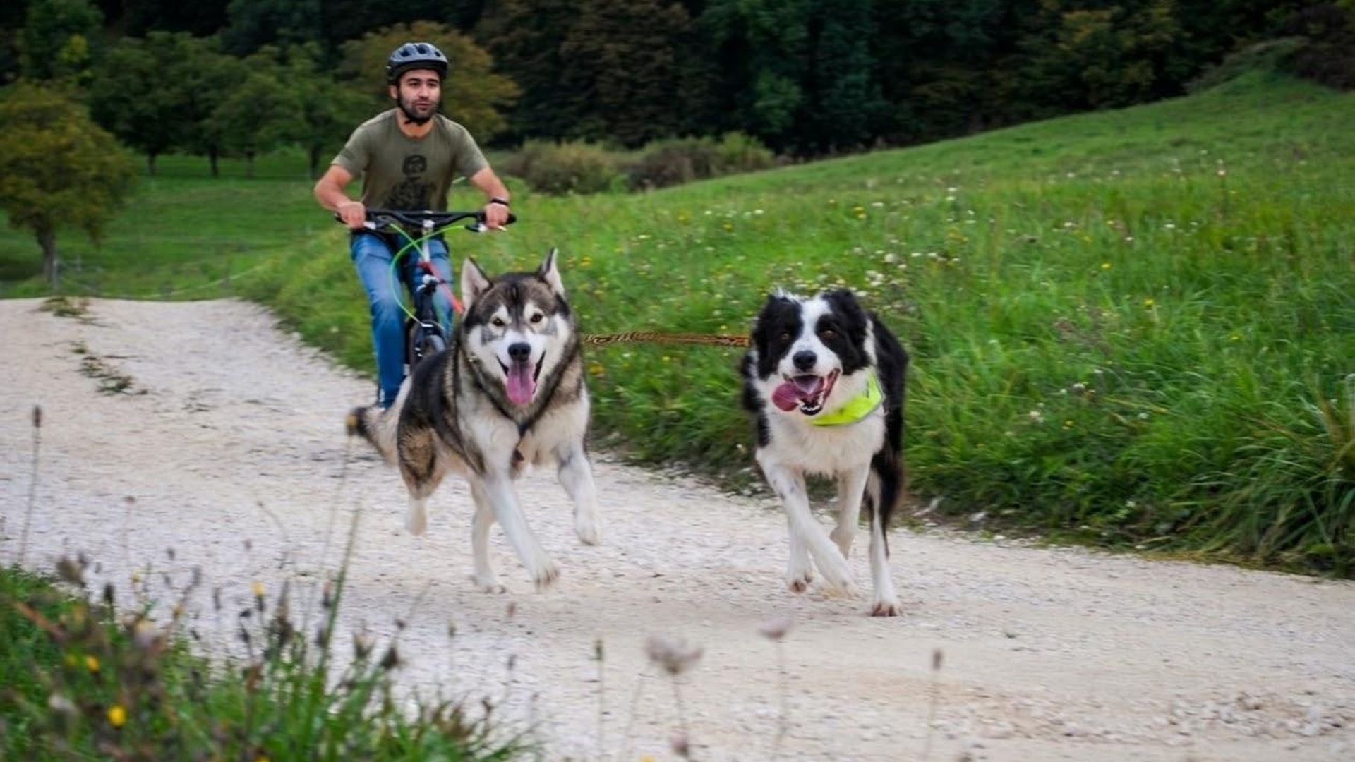La Cani trace des Chambaran_Saint-Marcellin