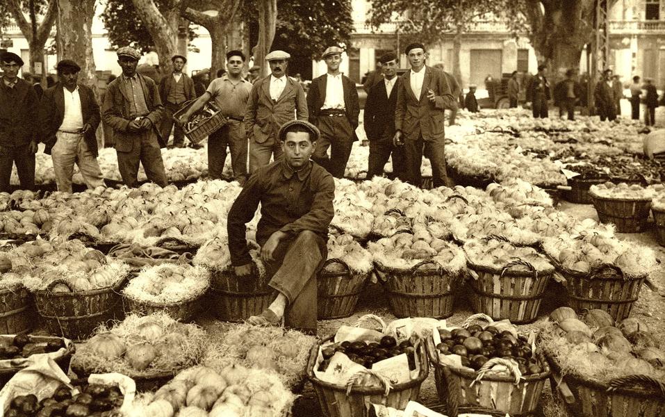 (Agri)Cultures: Murmure des champs, reflet de ville_Cavaillon
