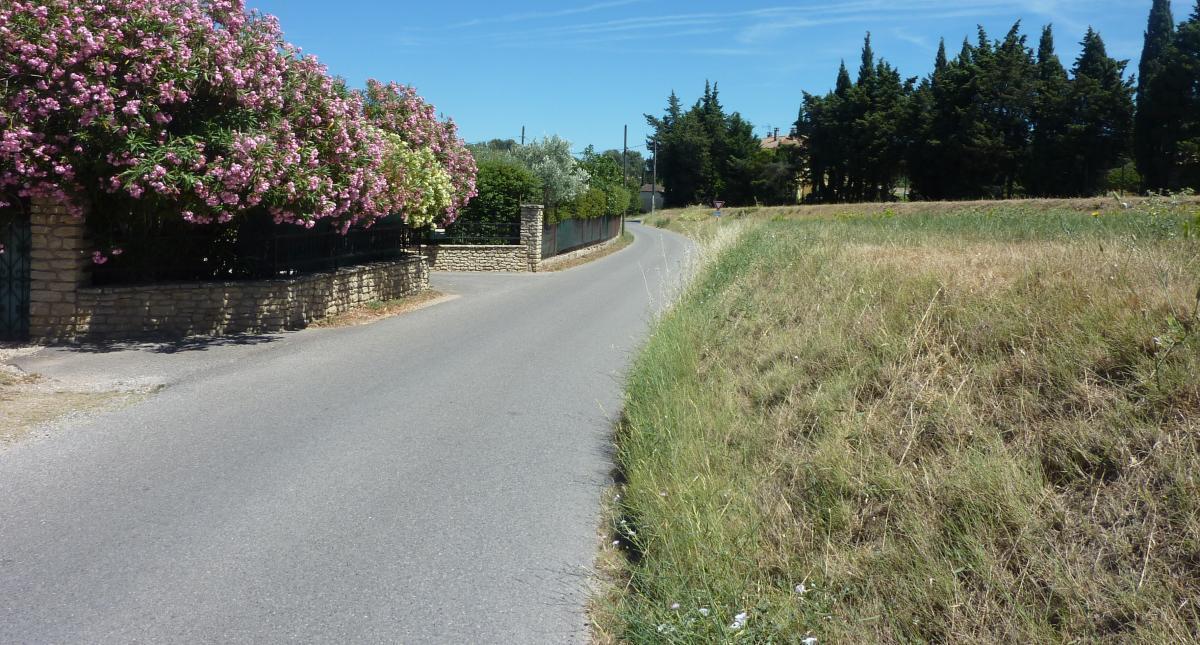 La Farigoule, Plan-d'Orgon - photo 16