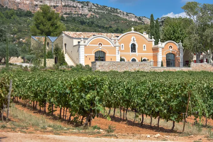 L'olivier - Domaine de la Galinière, Châteauneuf-le-Rouge - photo 4