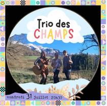 Concert - Trio des champs_Engins