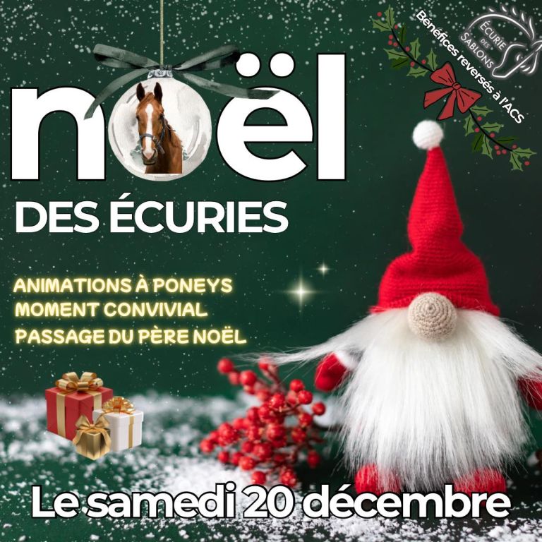 Noël des écuries_La Boixe