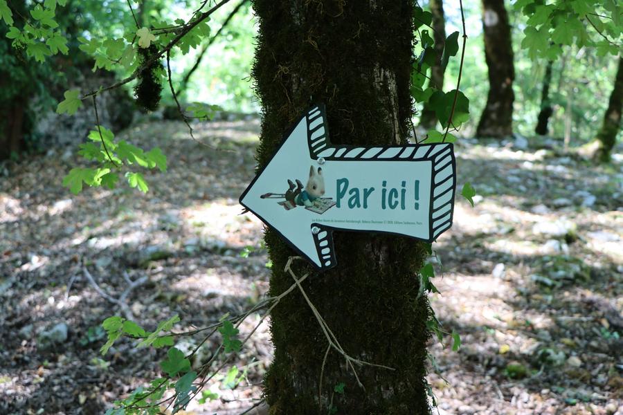 Exposition : Jacominus Gainsborough de Rebecca Dautremer s’installe en résidence dans la cité de Quirieu