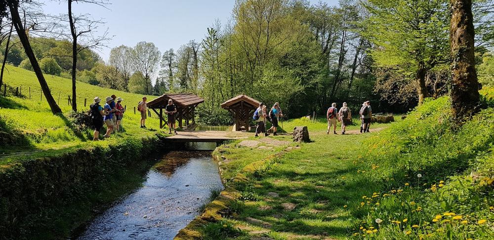 Vignoble de Journans - Belvédère du Mont Rignat_Journans