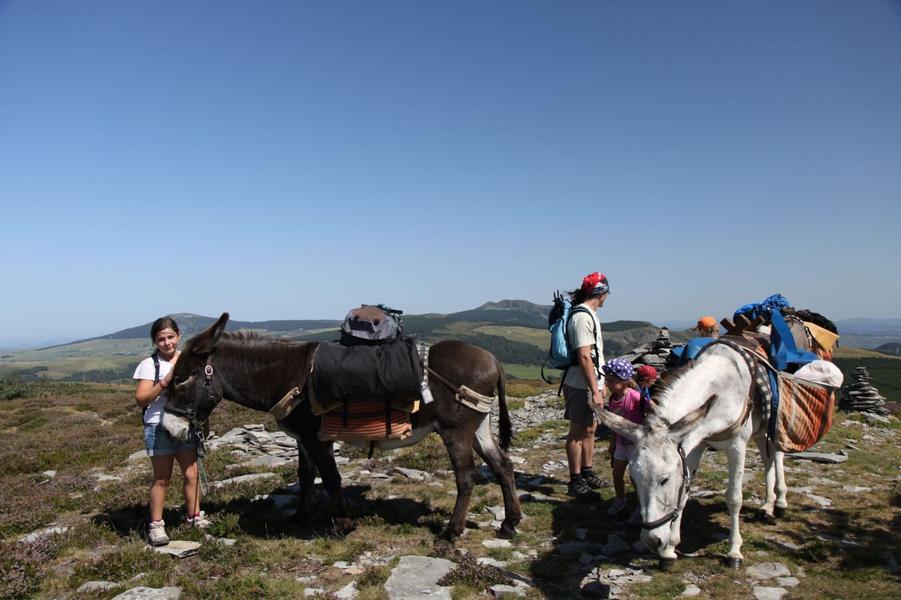 Massif Central Randonnées +