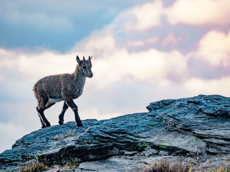 Le Râteau d'Aussois