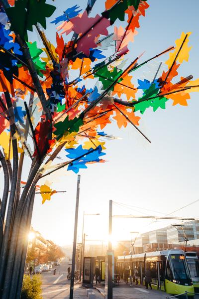L'Arbre multi couleurs de Philippe Million_Saint-Étienne