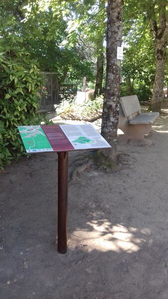 Balade Côte du Py Villié Morgon