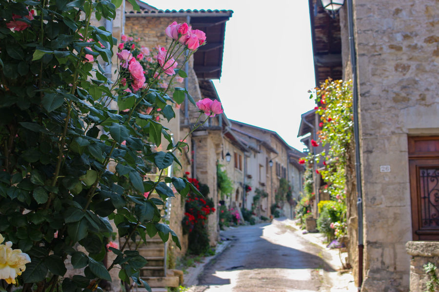 Saint-Sorlin-en-Bugey