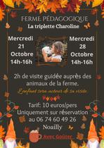 Visite de la ferme pédagogique_Noailly