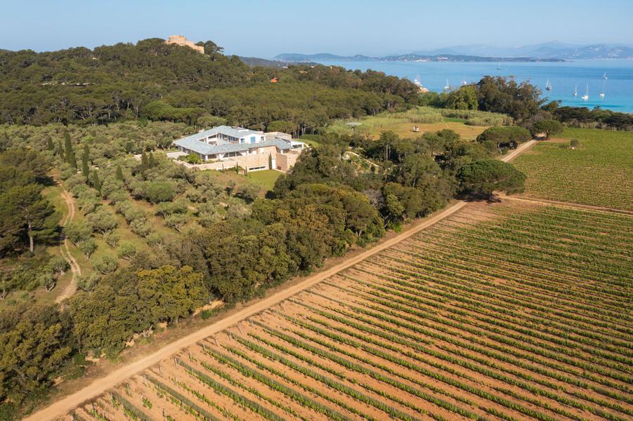 Domaine La Courtade vignes et fondation