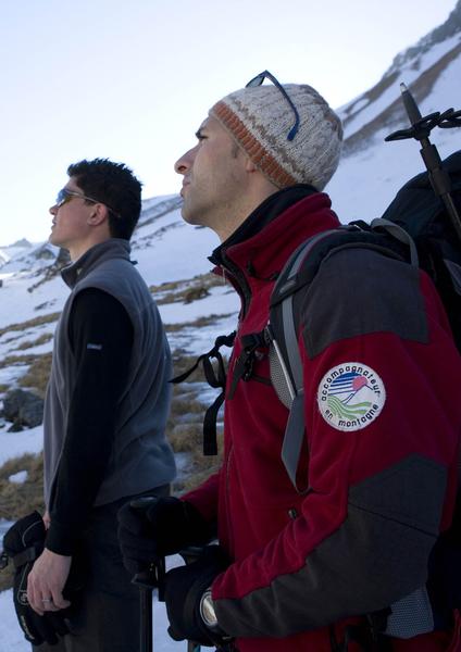 De pas en pattes au Mont-Dore, randonnée accompagnée