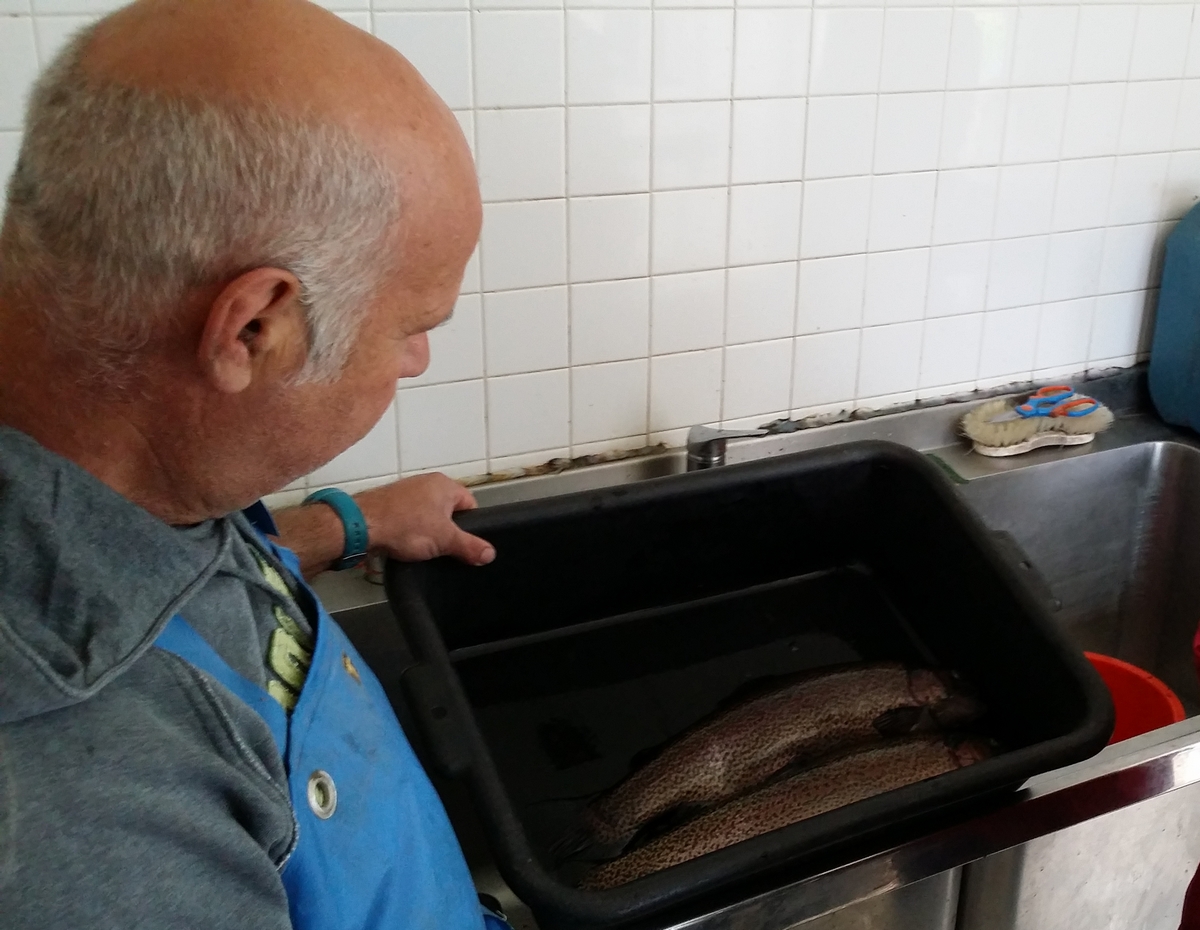 La Pisciculture du Ganel - Trout farm