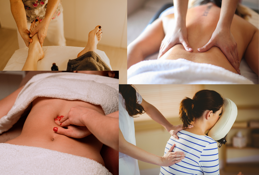 Image Photo ok APIDAE (22)