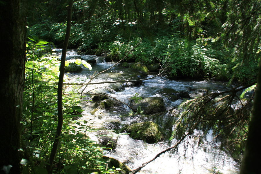 le Doron rivière