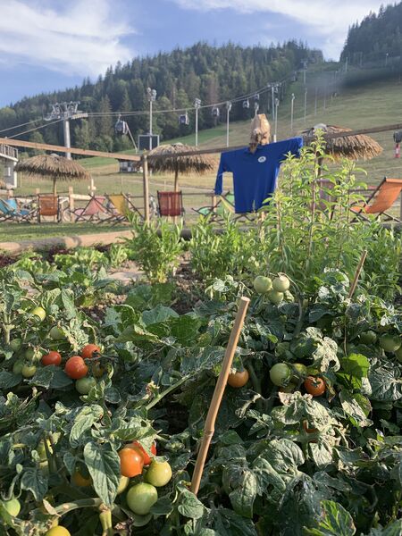 Restaurant Le Tremplin