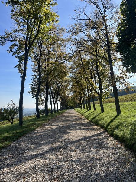 Visite sigature - Château de Lachassagne