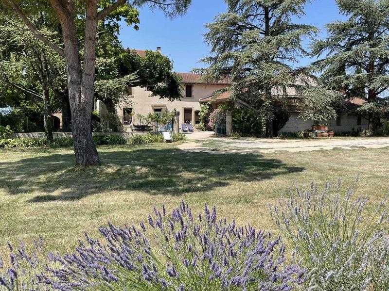 A votre arrivée, entre lavande et laurier rose, sous l'ombre du pin parasol