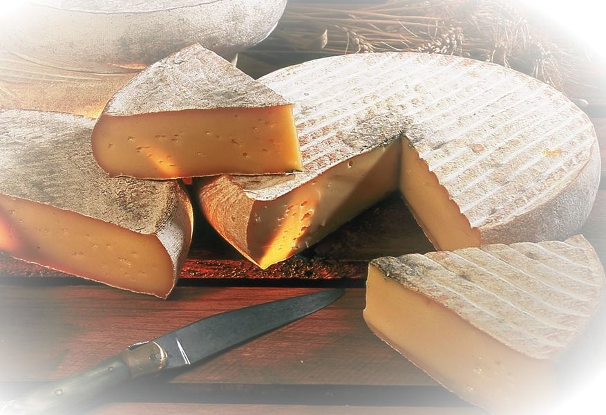 Semaine de l'Estive - Visit to the Condeval cheese farm