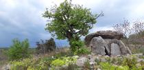Dolmen_ArdÃ¨che terre de dolmens