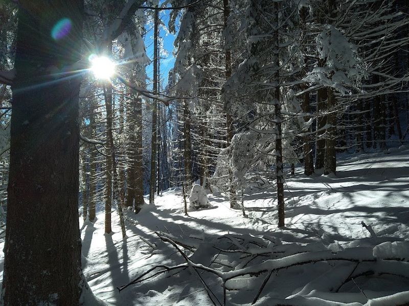 sentiers raquettes Voirons