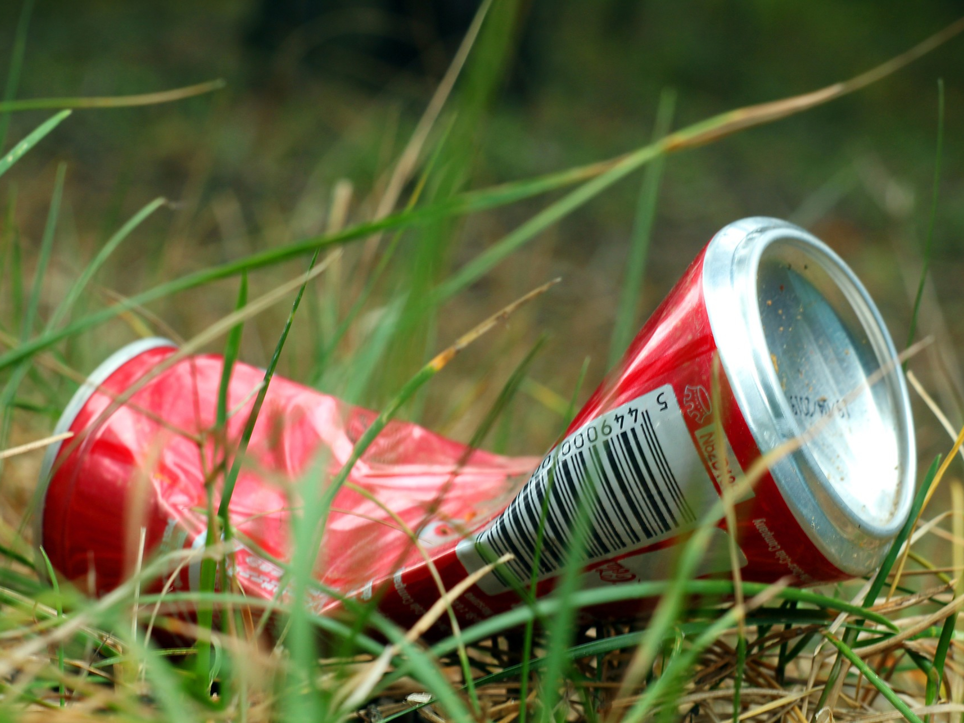 World Clean Up Day 2026